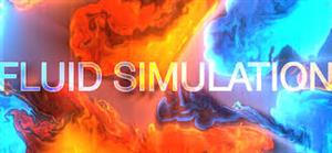 Fluid Simulation 
